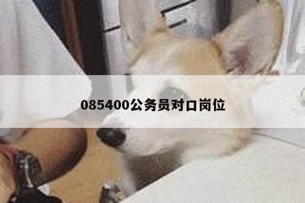 085400公务员对口岗位