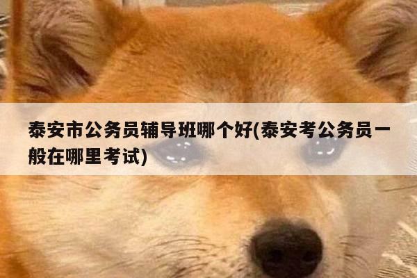 泰安市公务员辅导班哪个好(泰安考公务员一般在哪里考试)
