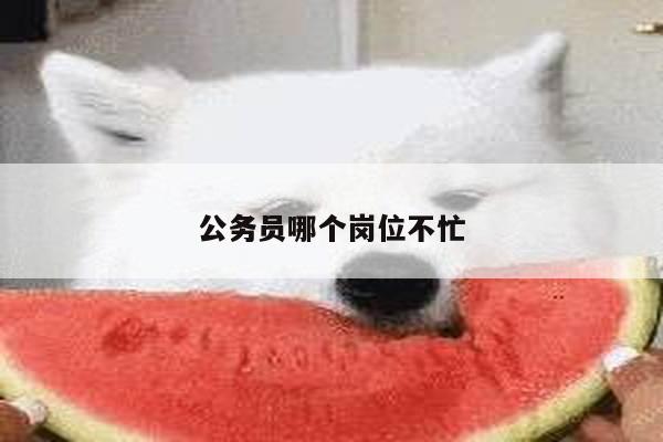公务员哪个岗位不忙
