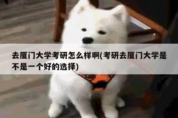 去厦门大学考研怎么样啊(考研去厦门大学是不是一个好的选择)