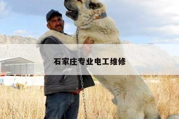 石家庄专业电工维修