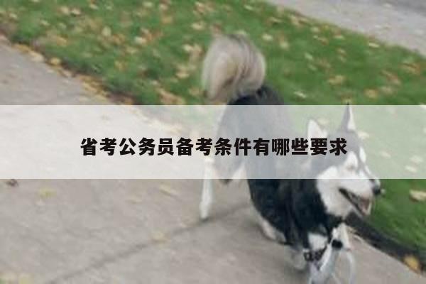 省考公务员备考条件有哪些要求