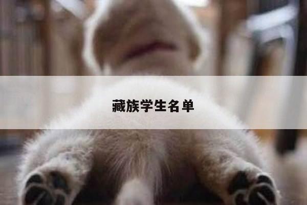 藏族学生名单