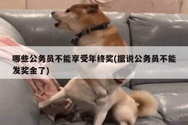 哪些公务员不能享受年终奖(据说公务员不能发奖金了)