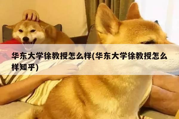 华东大学徐教授怎么样(华东大学徐教授怎么样知乎)