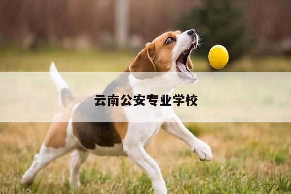 云南公安专业学校