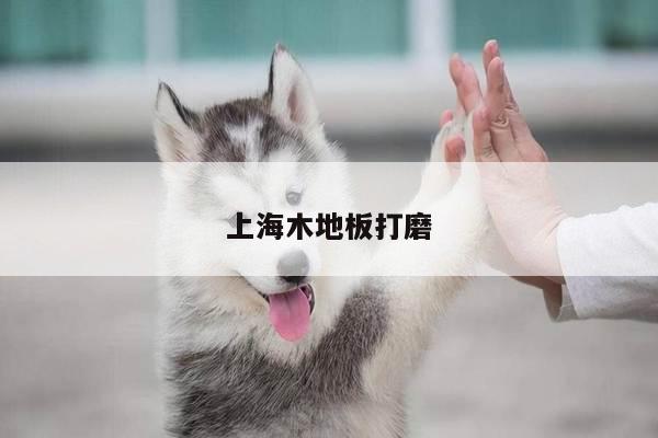 上海木地板打磨