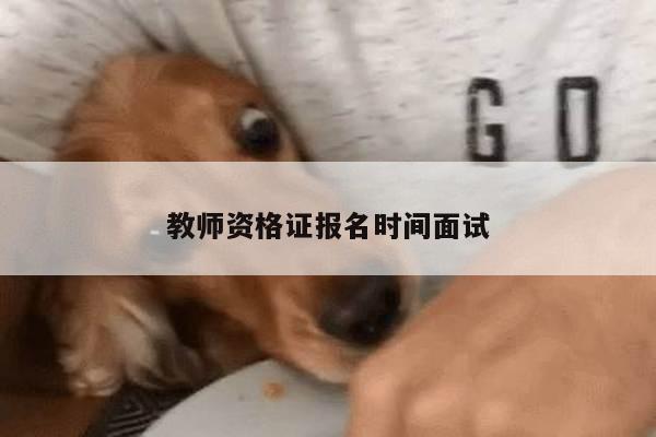 教师资格证报名时间面试