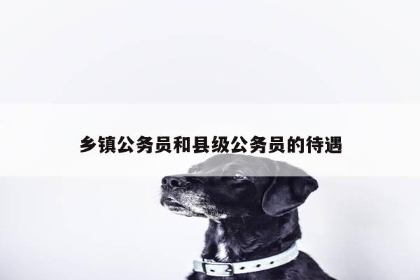 乡镇公务员和县级公务员的待遇