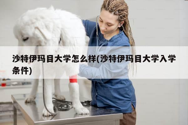 沙特伊玛目大学怎么样(沙特伊玛目大学入学条件)