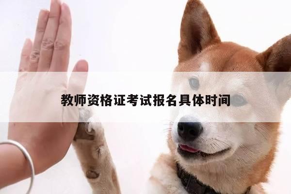 教师资格证考试报名具体时间