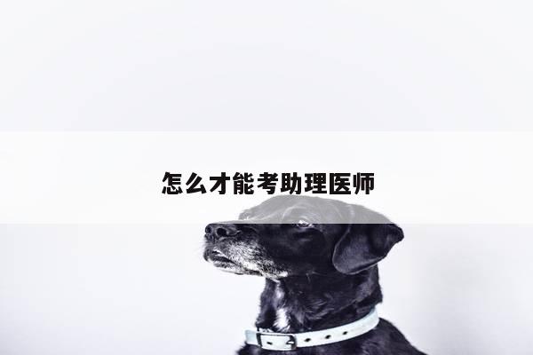 怎么才能考助理医师