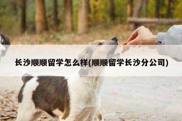 长沙顺顺留学怎么样(顺顺留学长沙分公司)