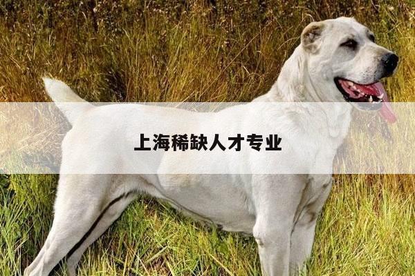 上海稀缺人才专业