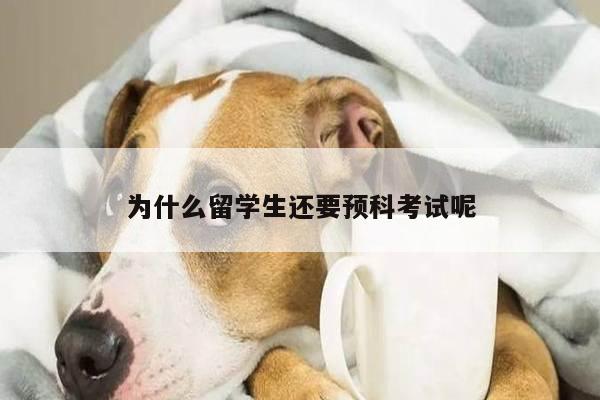 为什么留学生还要预科考试呢