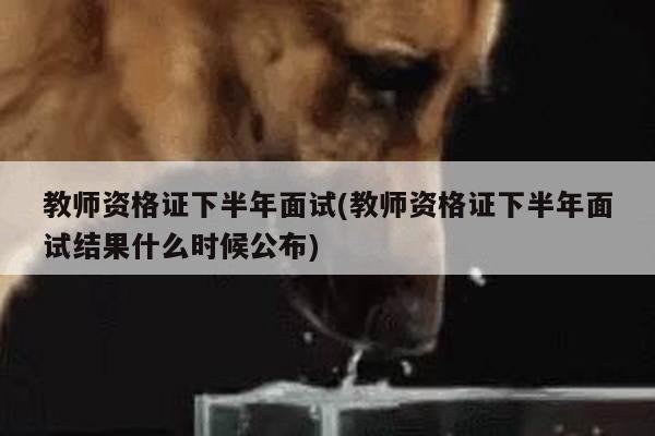 教师资格证下半年面试(教师资格证下半年面试结果什么时候公布)