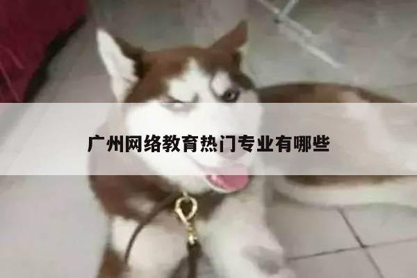 广州网络教育热门专业有哪些