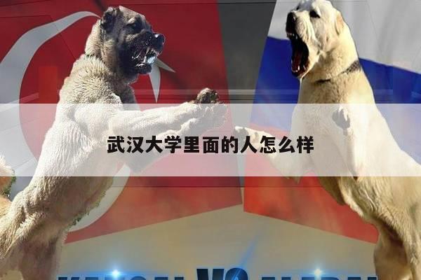 武汉大学里面的人怎么样