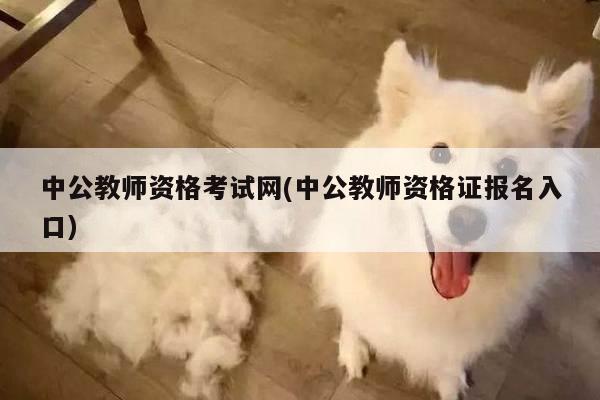 中公教师资格考试网(中公教师资格证报名入口)