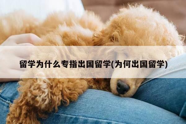 留学为什么专指出国留学(为何出国留学)