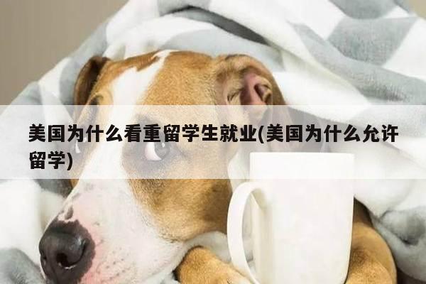 美国为什么看重留学生就业(美国为什么允许留学)