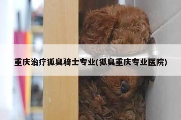重庆治疗狐臭骑士专业(狐臭重庆专业医院)