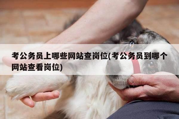 考公务员上哪些网站查岗位(考公务员到哪个网站查看岗位)