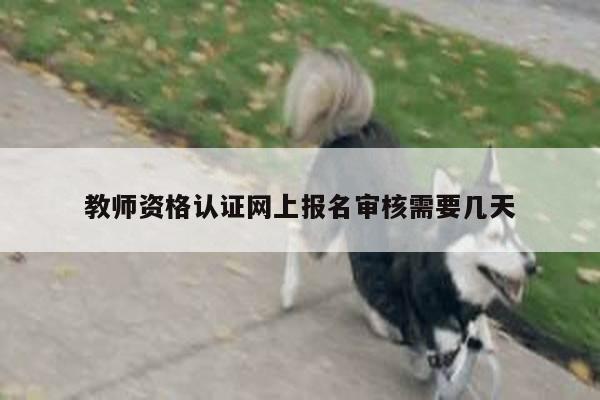 教师资格认证网上报名审核需要几天