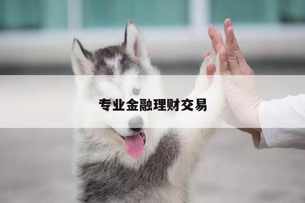 专业金融理财交易