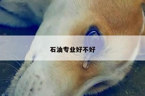 石油专业好不好