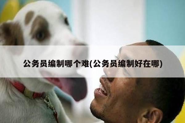 公务员编制哪个难(公务员编制好在哪)