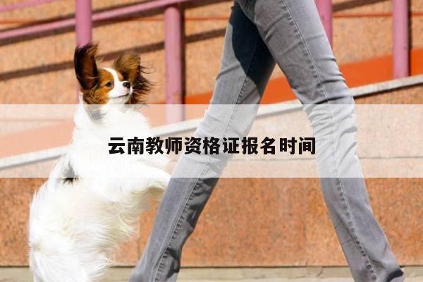 云南教师资格证报名时间