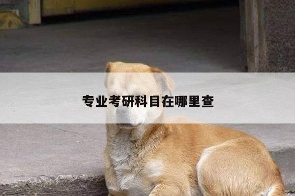 专业考研科目在哪里查