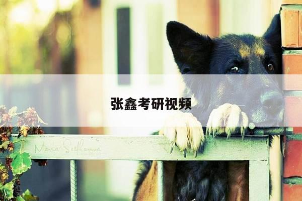 张鑫考研视频