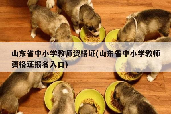 山东省中小学教师资格证(山东省中小学教师资格证报名入口)