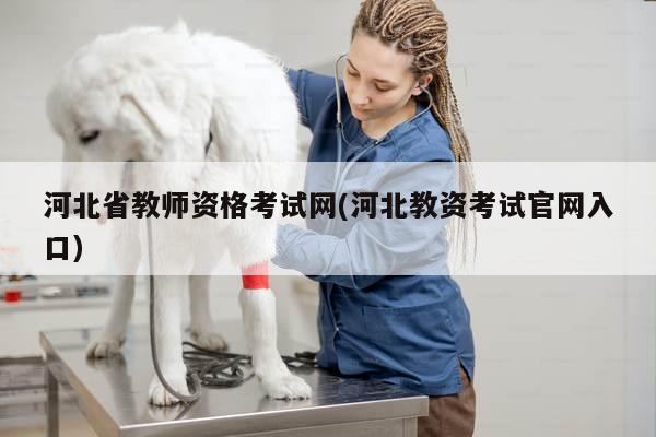 河北省教师资格考试网(河北教资考试官网入口)