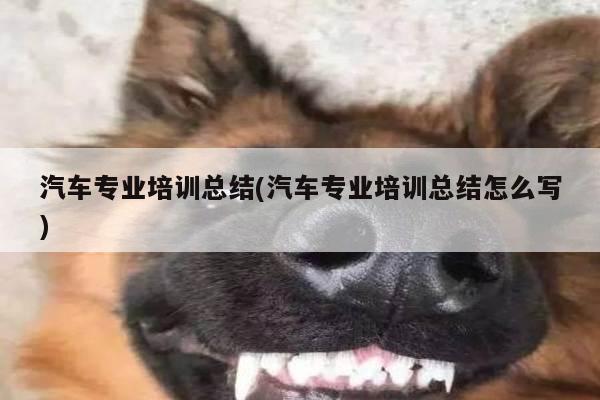 汽车专业培训总结(汽车专业培训总结怎么写)
