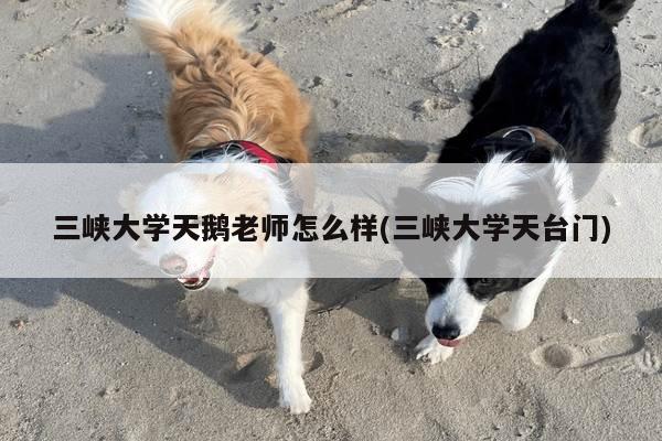三峡大学天鹅老师怎么样(三峡大学天台门)