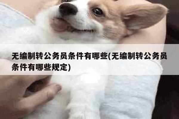 无编制转公务员条件有哪些(无编制转公务员条件有哪些规定)