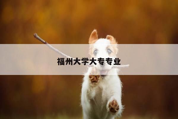 福州大学大专专业