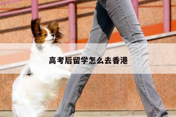 高考后留学怎么去香港