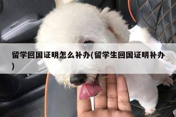 留学回国证明怎么补办(留学生回国证明补办)
