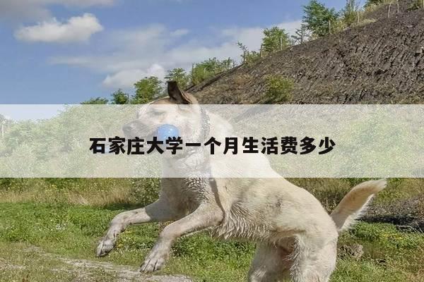 石家庄大学一个月生活费多少