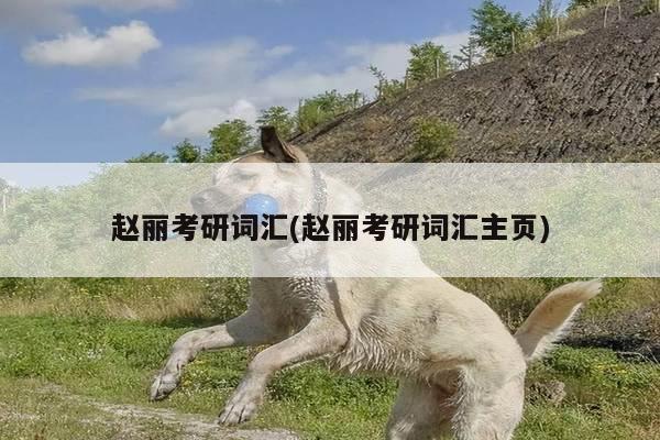 赵丽考研词汇(赵丽考研词汇主页)