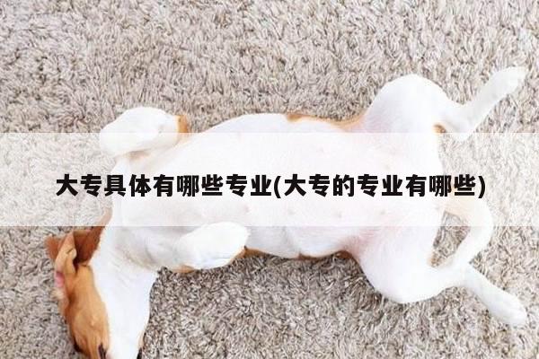 大专具体有哪些专业(大专的专业有哪些)