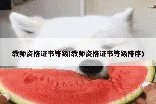 教师资格证书等级(教师资格证书等级排序)