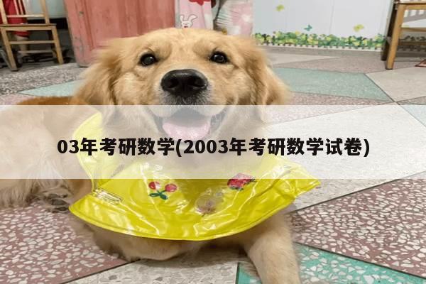 03年考研数学(2003年考研数学试卷)