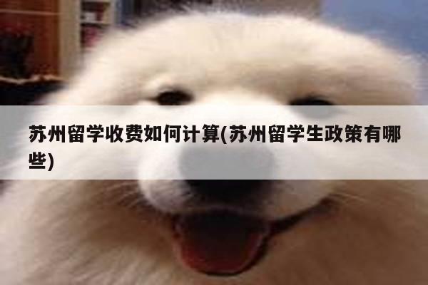 苏州留学收费如何计算(苏州留学生政策有哪些)