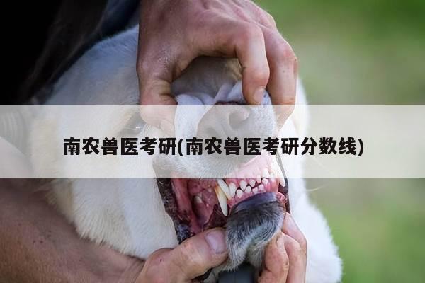 南农兽医考研(南农兽医考研分数线)