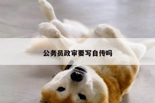 公务员政审要写自传吗